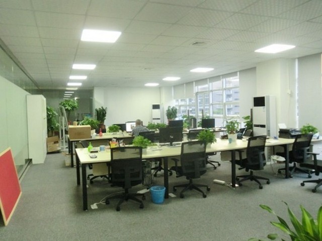 泰国办理鸭毛进口报关注意问题